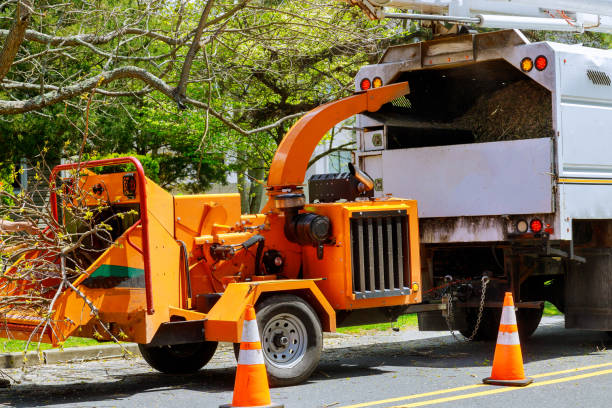  Tualatin, OR Tree Services Pros